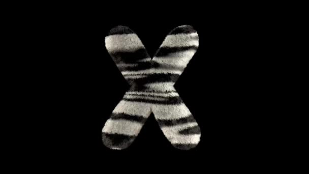 3D动画毛茸茸的动物园斑马文字字体 通道X — 图库视频影像