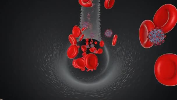 血液細胞と血流中のコロナウイルスの3Dアニメーション — ストック動画