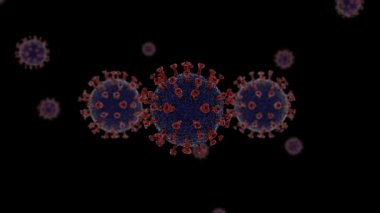 3d animasyon Corona virüs hücreleri elektron mikroskobunun altında alfa kanalı ve döngü ile 3 hücre etrafında yüzüyor.