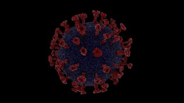 3d animasyon Corona virüs hücresi elektron mikroskobu altında alfa kanalı ve döngülenmiş animasyon