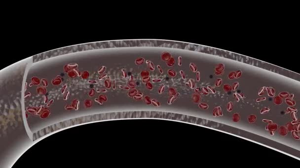 Vasos Sanguíneos Com Fluxo Sanguíneo Interior Com Vírus Corona Glóbulos — Vídeo de Stock