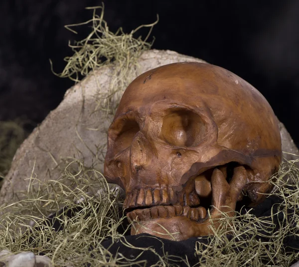 Страшный человеческий череп — стоковое фото