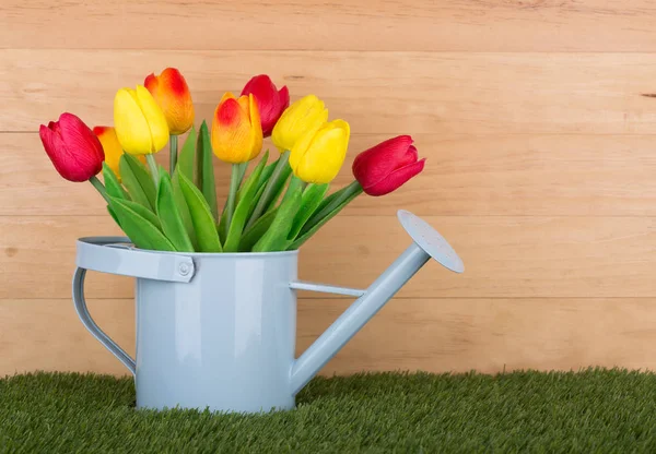 Барвисті весна тюльпани — стокове фото