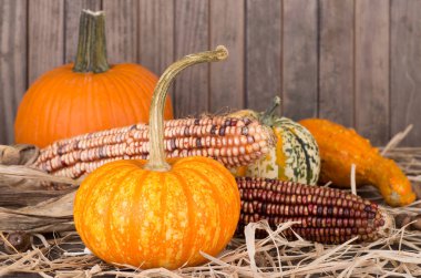 Renkli sonbahar dekorasyon