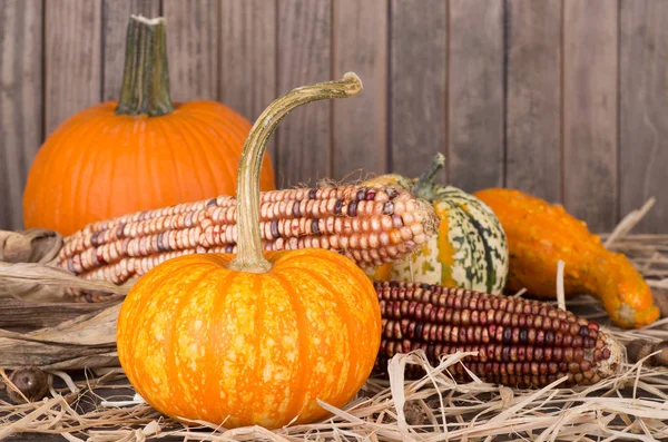 Renkli sonbahar dekorasyon