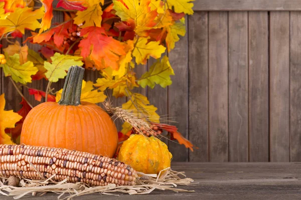Mais d'autunno e Gourds — Foto Stock