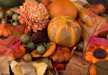 renkli sonbahar arka plan