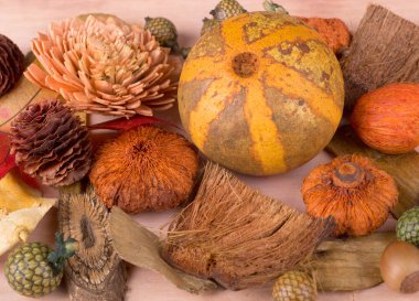 Sonbahar nesneleri ürün yelpazesine