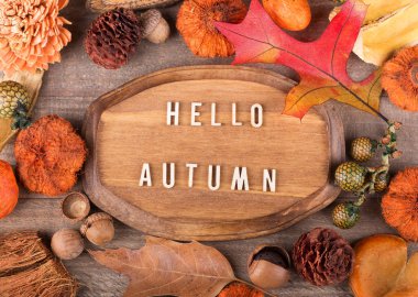 Merhaba sonbahar plak