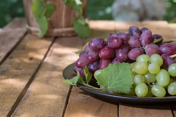 Plate of Red and White Grapes — Stock Photo, Image