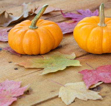 kabaklar ve sonbahar yaprakları