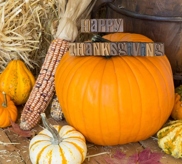 Zucche, Gourds e Mais autunnali colorati — Foto Stock