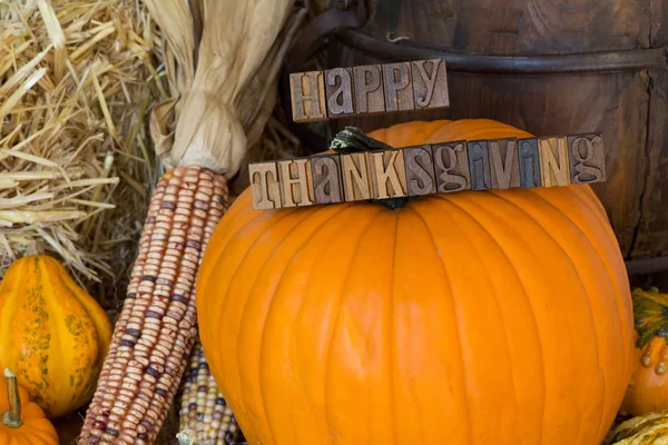 Coloridas calabazas de otoño, calabazas y maíz —  Fotos de Stock