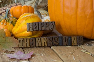 Şükran Günü Mesajın kutlu olsun.