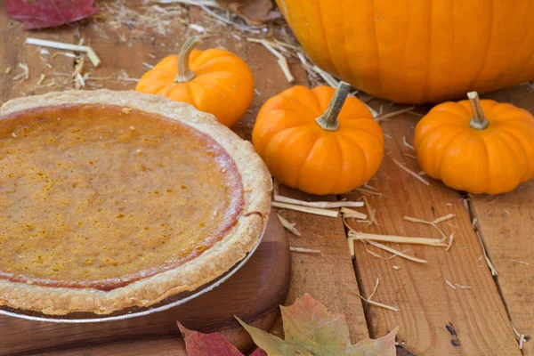 sonbahar kabak pasta