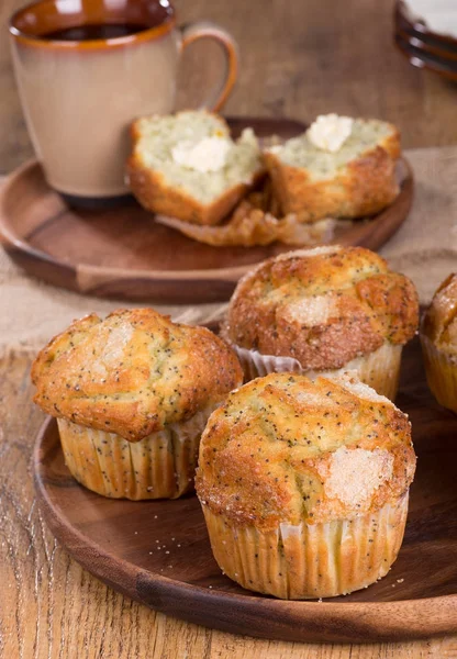 Citron vallmofrö muffins — Stockfoto