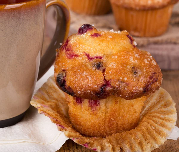 Brusinkový muffin closeup — Stock fotografie