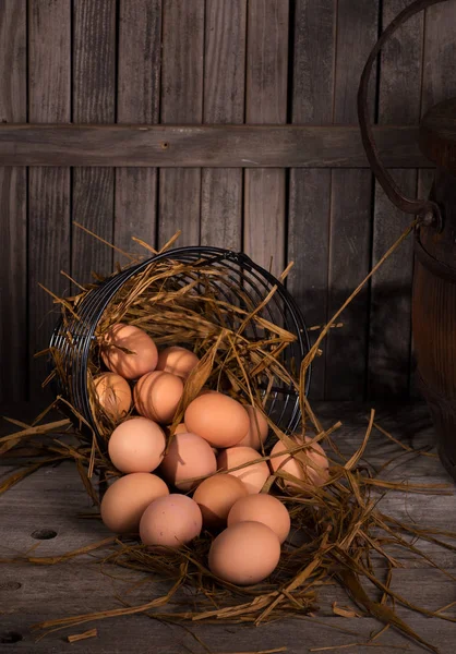 Hnědá slepičí vejce — Stock fotografie
