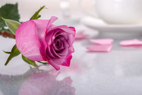 Rosa rosa na mesa reflexiva — Fotografia de Stock