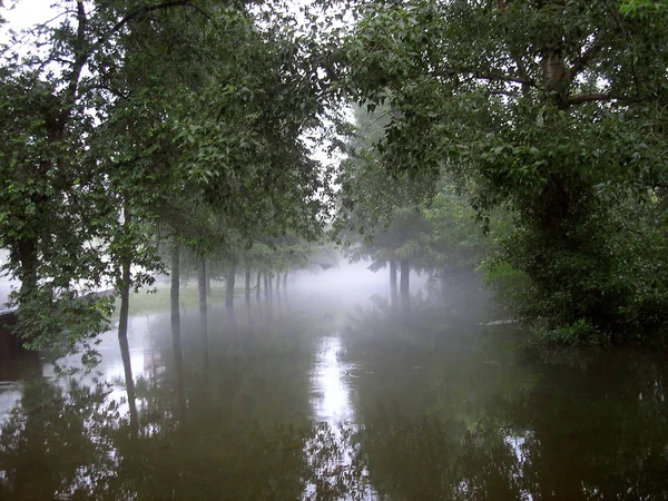 Misty Alley Krasnoyarsk 2006 — Fotografia de Stock