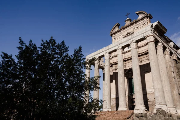 意大利 2018年11月20日 访问罗马最著名的古迹前一年的验尸 — 图库照片