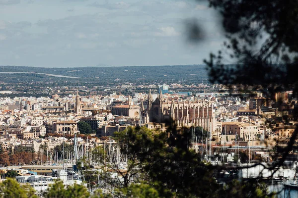 Hermosas Imágenes Viaje Mallorca España Detalles Playa Paisajes Monumentos — Foto de Stock