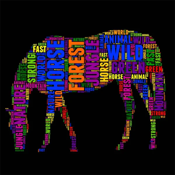 Horse Typography word cloud colorful Vector illustration — Stock Vector