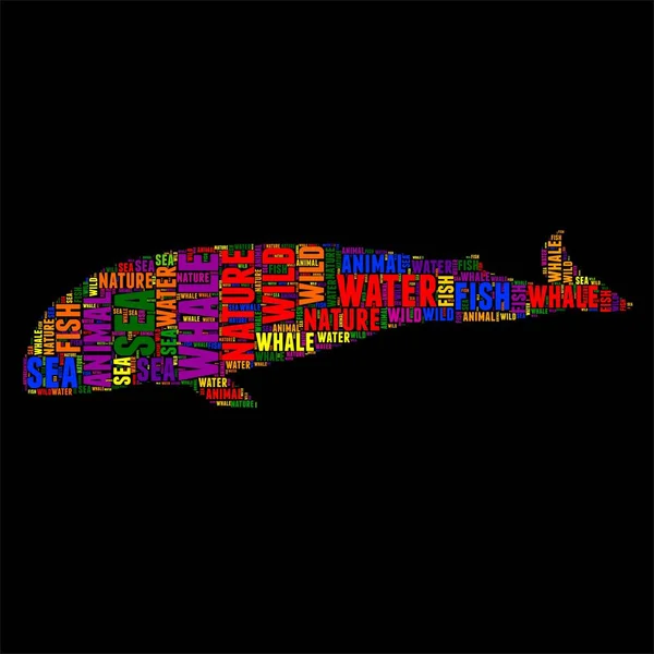 Whale typografi word cloud färgglada vektorillustration — Stock vektor