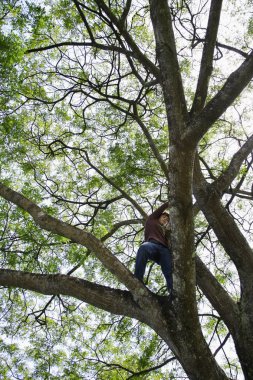 ağaçta duran çocuk