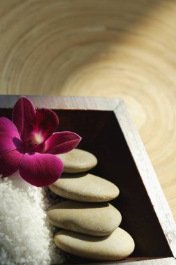 Deniz tuzu ve lav kayaları