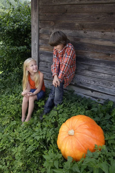 Ragazzo e ragazza accanto alla zucca — Foto Stock