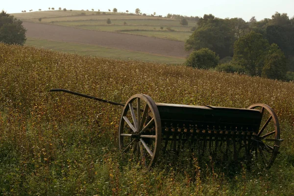 Horse-drawn plow — Stock Photo, Image