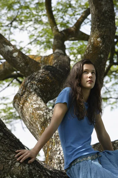 Adolescente chica sentado en árbol — Foto de Stock