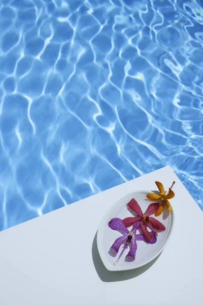 Orquídeas de dendrobio en plato, junto a la piscina — Foto de Stock