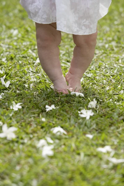 Baby fötter gå på gräs — Stockfoto