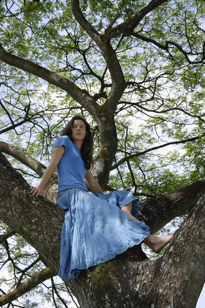 나무에 앉아 여자 — 스톡 사진