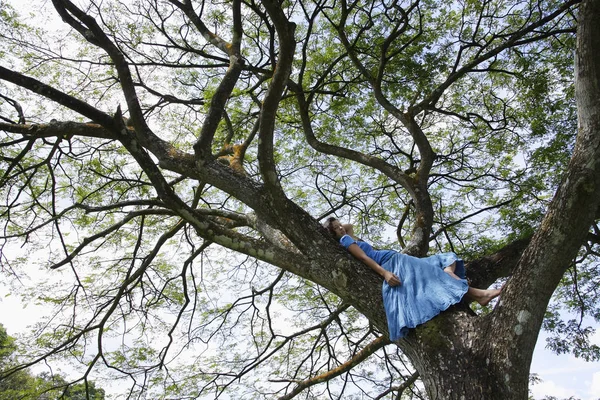 Meisje liggend in boom — Stockfoto