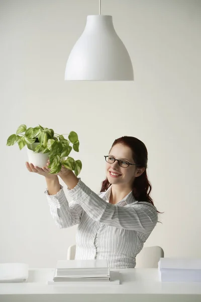 Donna ammirando pianta — Foto Stock