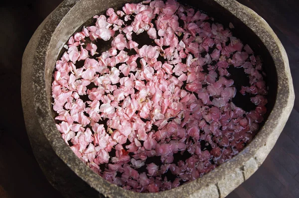 Kelopak merah muda mengambang di mangkuk batu — Stok Foto