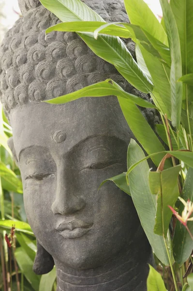 Rostro de piedra Buddha — Foto de Stock