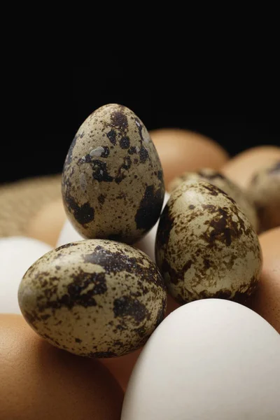 Brown eggs, white eggs, quail eggs