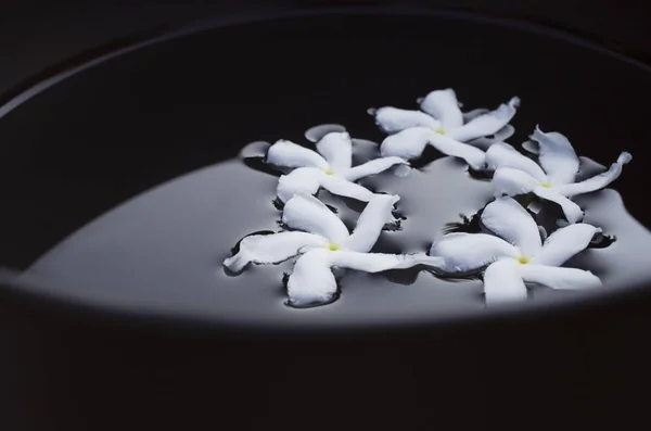 Flores de frangipani blancas flotando en tazón negro — Foto de Stock