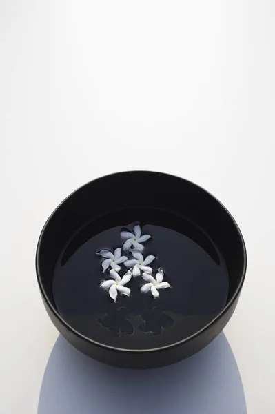 Flores de Frangipani flotando en cuenco negro — Foto de Stock