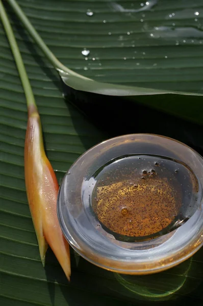 Mamão usado para tratamento de pele de spa natural — Fotografia de Stock