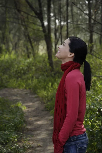 Donna sul sentiero boscoso guardando verso gli alberi — Foto Stock