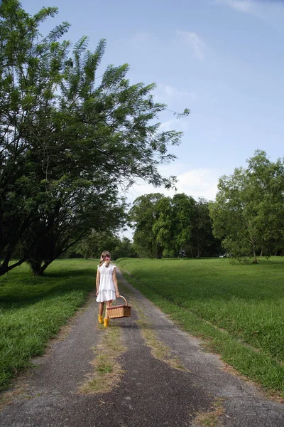 Giovane ragazza che cammina lungo la strada con cestino — Foto Stock