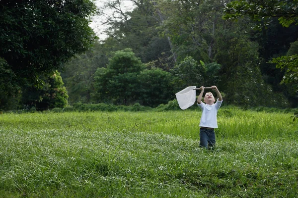 Ragazzo a caccia di farfalle — Foto Stock