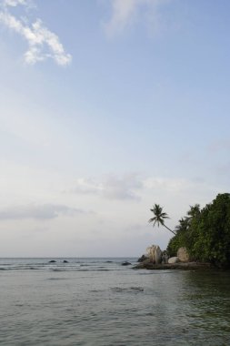 Tropik ada manzarası 