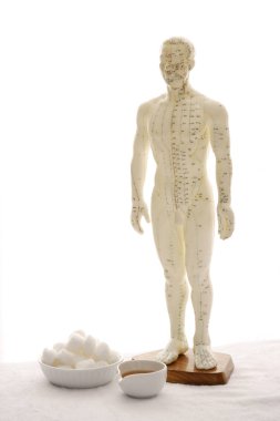 Akupunktur modeli ve araçları