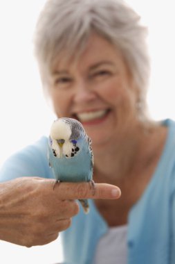 Older woman with blue bird clipart
